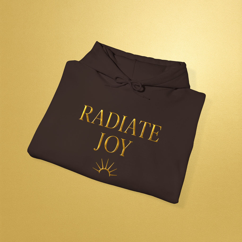 Radiate Joy Hoodie | Inspirational Pullover